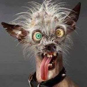 Meet your Posher, Rob